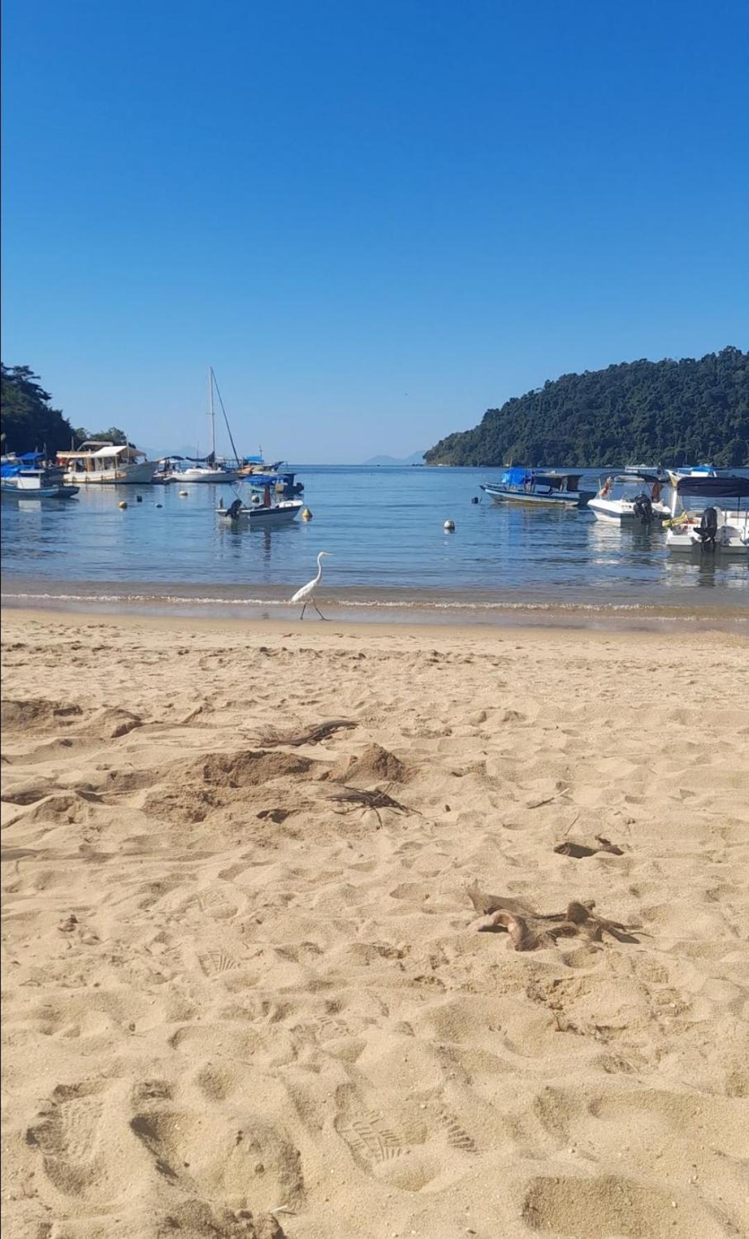 Paraty House Dış mekan fotoğraf